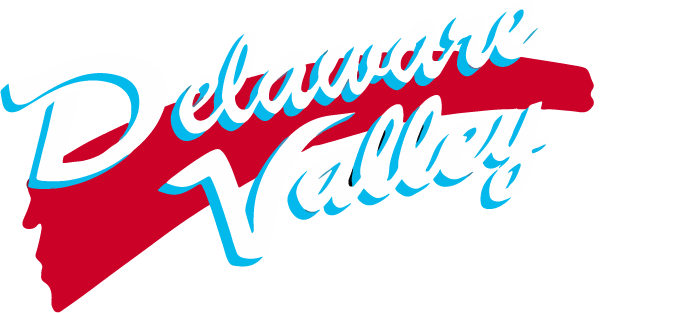 Delaware Valley Survey